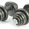 Набор металлических гантелей 2x25 кг "Atlas Sport"